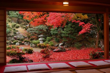 紅葉が素晴らしい　青龍寺源徳院　　こんな景色に出会えるかも…